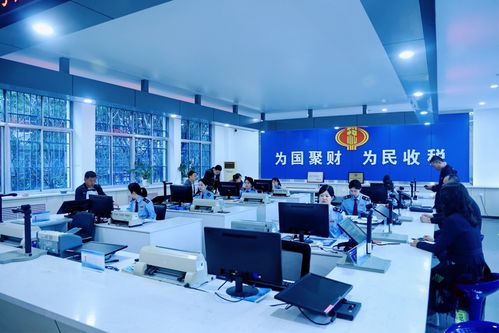 慶陽稅務 高效辦稅促發展，稅惠服務暖企心